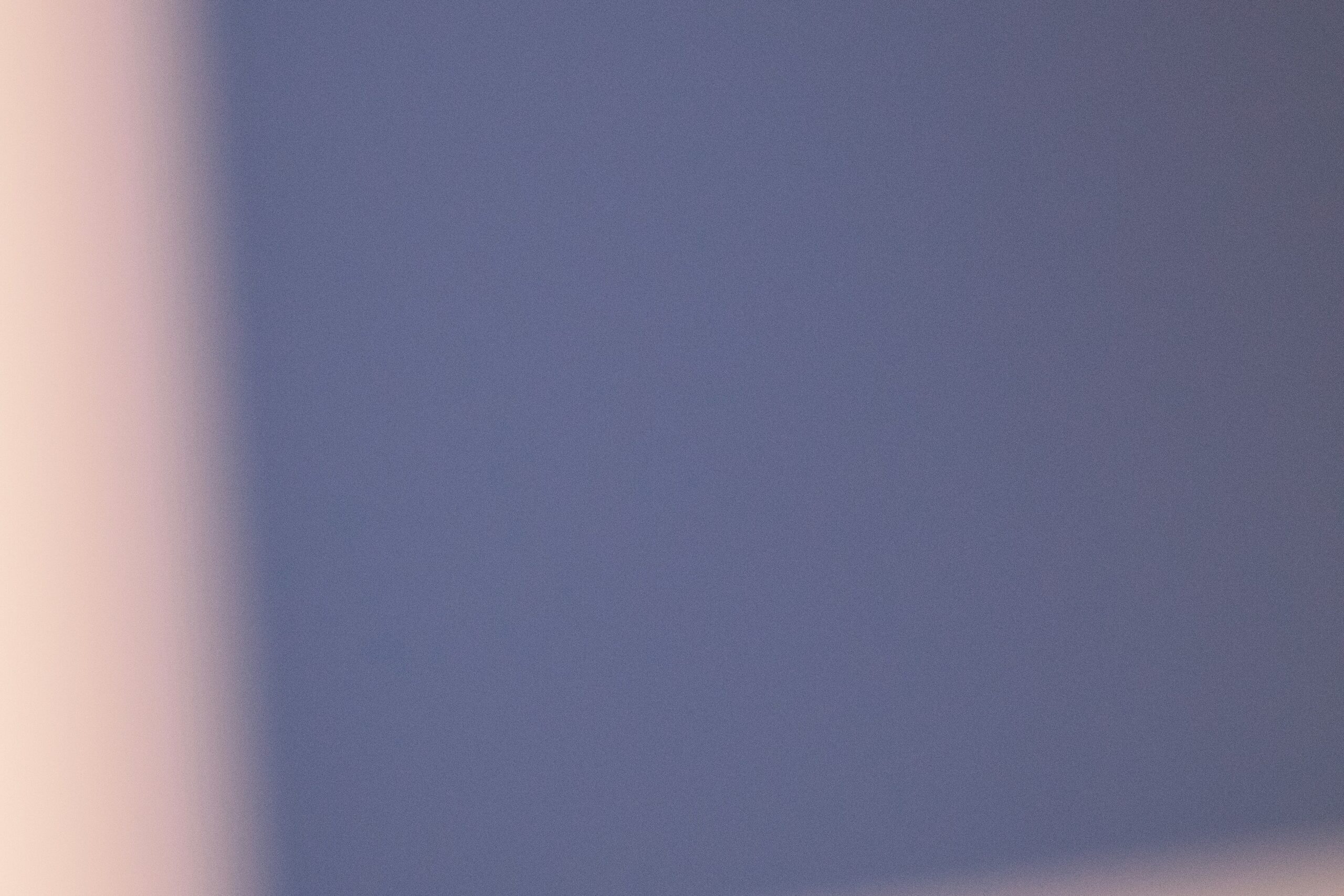 Soft light falling on a purple wall.